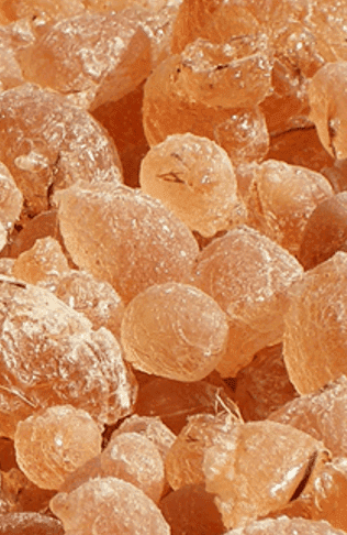 Arabic Gum – Hashab