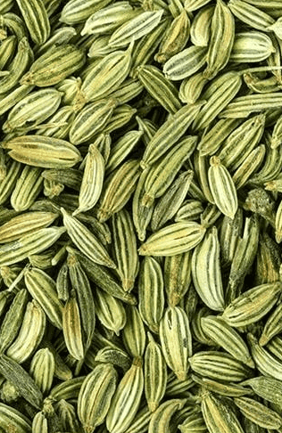 Fennel Seeds